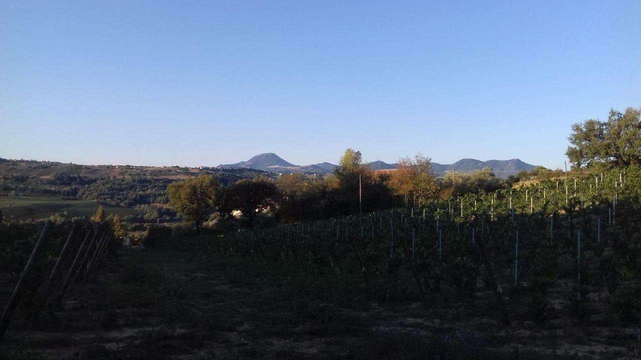 Camping Agriturist Sant'Anna Castelplanio Екстер'єр фото
